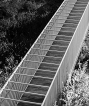 NIK_6358_2B