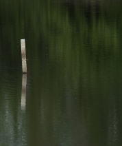 The Measuring Stick for the Rule of Thirds