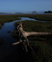 Morro Bay, California