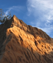 Lone Pine, La Jolla
