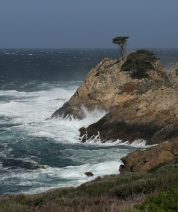 Point Lobos, Carmel