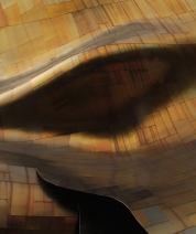 Warping Light